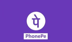 fake phonepe mod apk